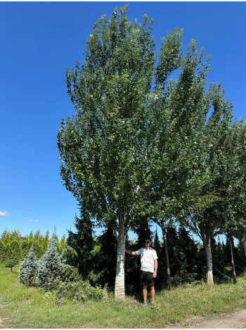  Ексклюзиви