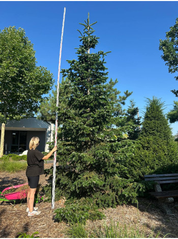  Ексклюзиви