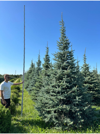  Ексклюзиви