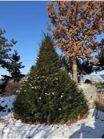  Ексклюзиви