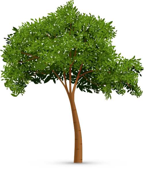 Ексклюзиви